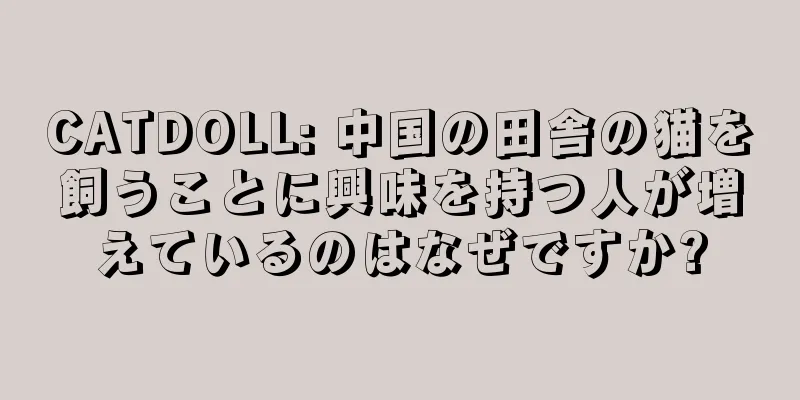 CATDOLL: 中国の田舎の猫を飼うことに興味を持つ人が増えているのはなぜですか?