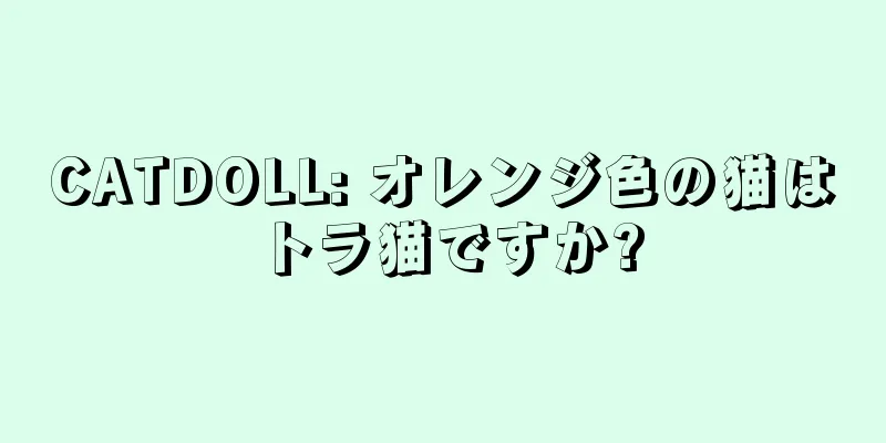 CATDOLL: オレンジ色の猫はトラ猫ですか?