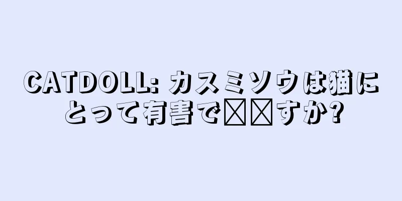 CATDOLL: カスミソウは猫にとって有害で​​すか?