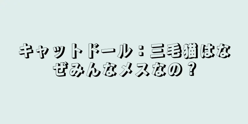 キャットドール：三毛猫はなぜみんなメスなの？