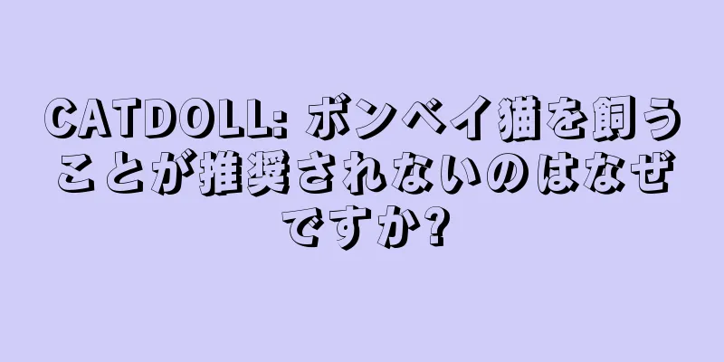 CATDOLL: ボンベイ猫を飼うことが推奨されないのはなぜですか?