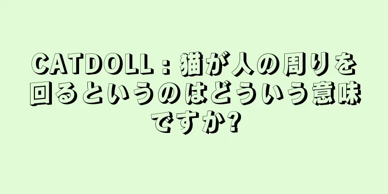 CATDOLL : 猫が人の周りを回るというのはどういう意味ですか?