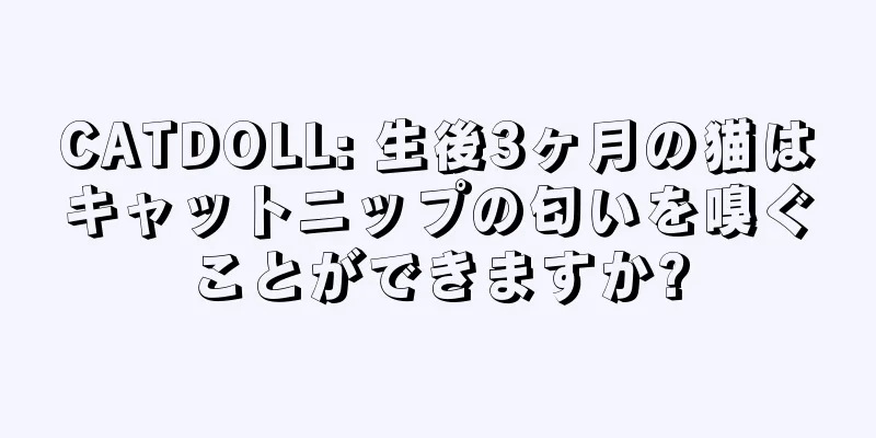 CATDOLL: 生後3ヶ月の猫はキャットニップの匂いを嗅ぐことができますか?