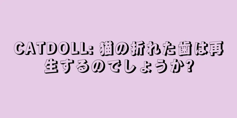 CATDOLL: 猫の折れた歯は再生するのでしょうか?