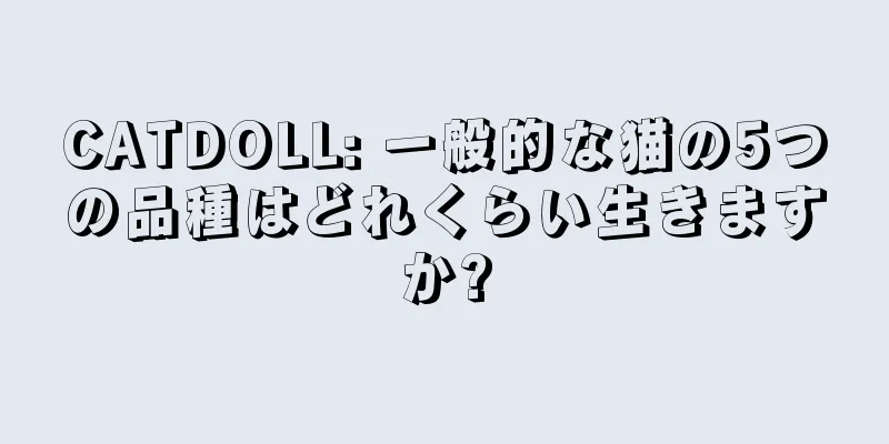 CATDOLL: 一般的な猫の5つの品種はどれくらい生きますか?