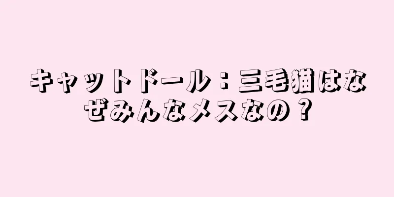 キャットドール：三毛猫はなぜみんなメスなの？