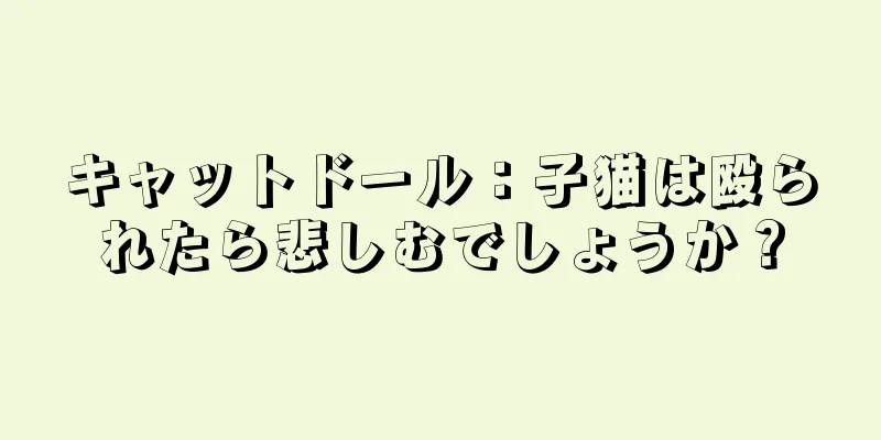 キャットドール：子猫は殴られたら悲しむでしょうか？