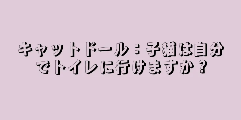 キャットドール：子猫は自分でトイレに行けますか？