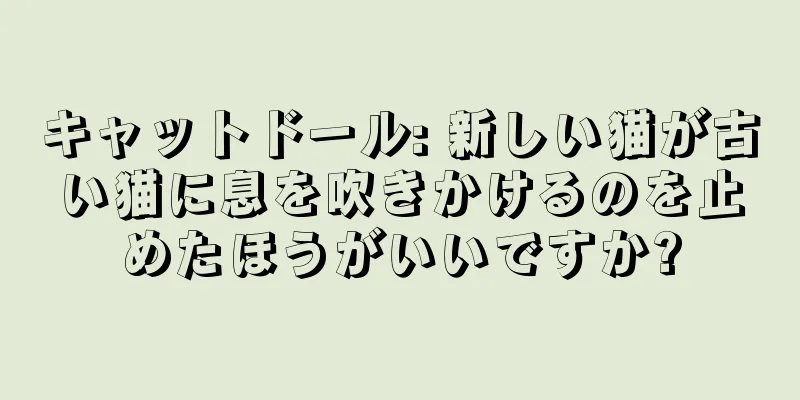 キャットドール: 新しい猫が古い猫に息を吹きかけるのを止めたほうがいいですか?