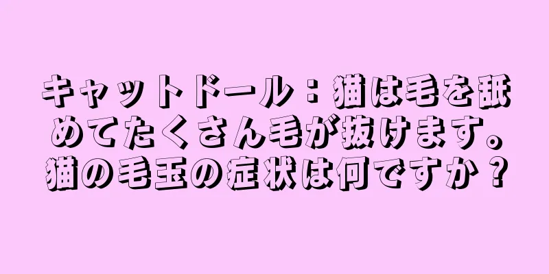 キャットドール：猫は毛を舐めてたくさん毛が抜けます。猫の毛玉の症状は何ですか？