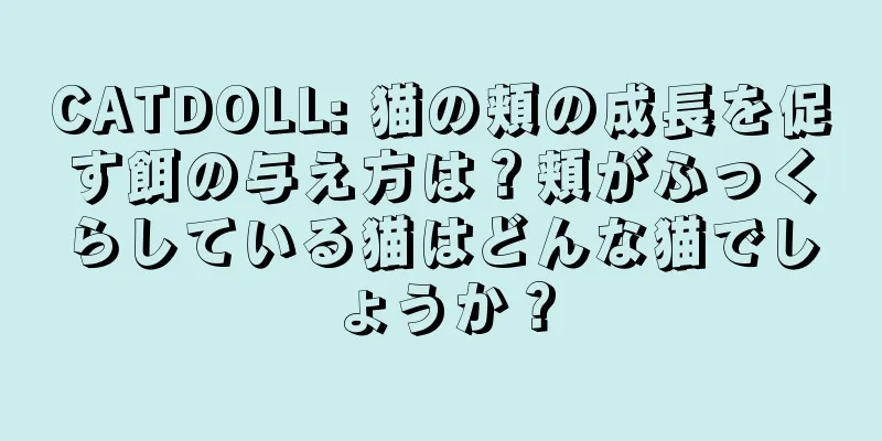 CATDOLL: 猫の頬の成長を促す餌の与え方は？頬がふっくらしている猫はどんな猫でしょうか？