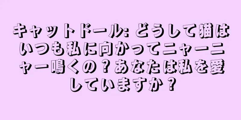 キャットドール: どうして猫はいつも私に向かってニャーニャー鳴くの？あなたは私を愛していますか？