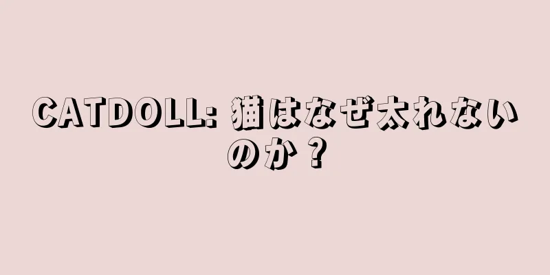 CATDOLL: 猫はなぜ太れないのか？