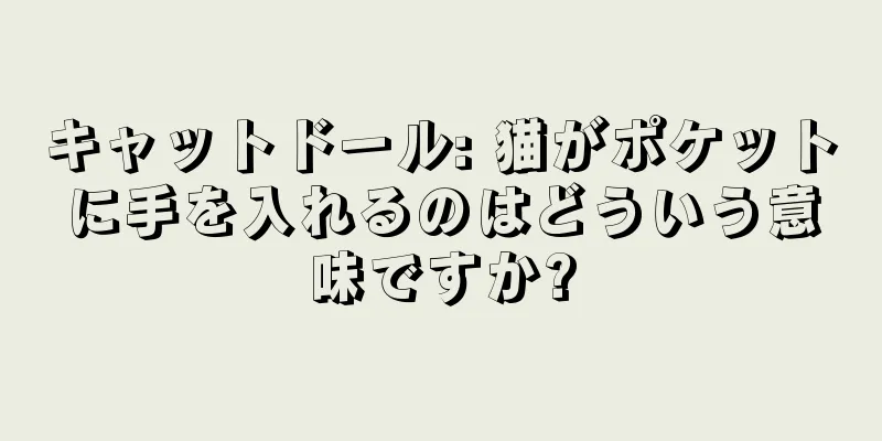 キャットドール: 猫がポケットに手を入れるのはどういう意味ですか?