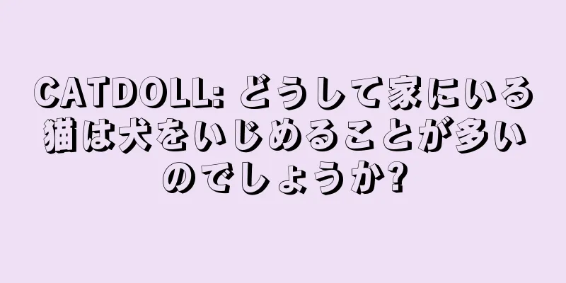 CATDOLL: どうして家にいる猫は犬をいじめることが多いのでしょうか?