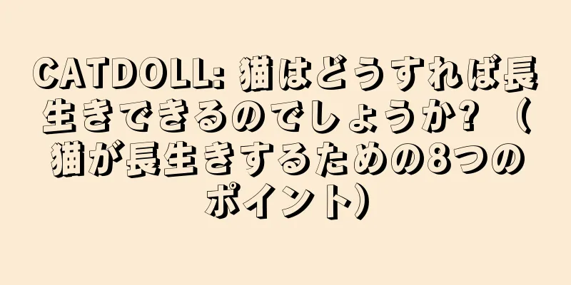 CATDOLL: 猫はどうすれば長生きできるのでしょうか? （猫が長生きするための8つのポイント）