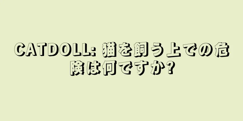CATDOLL: 猫を飼う上での危険は何ですか?