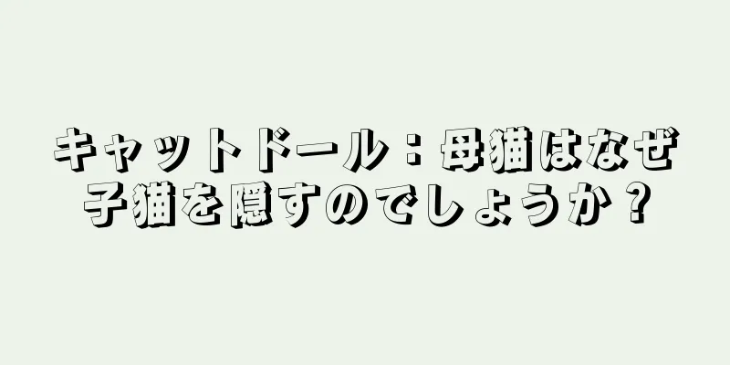 キャットドール：母猫はなぜ子猫を隠すのでしょうか？