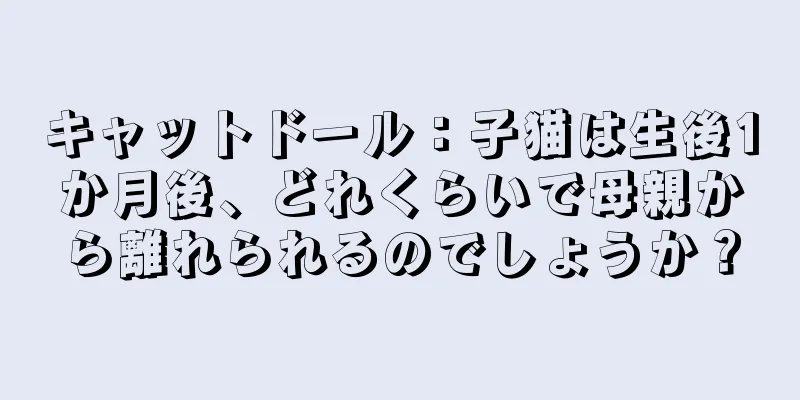 キャットドール：子猫は生後1か月後、どれくらいで母親から離れられるのでしょうか？