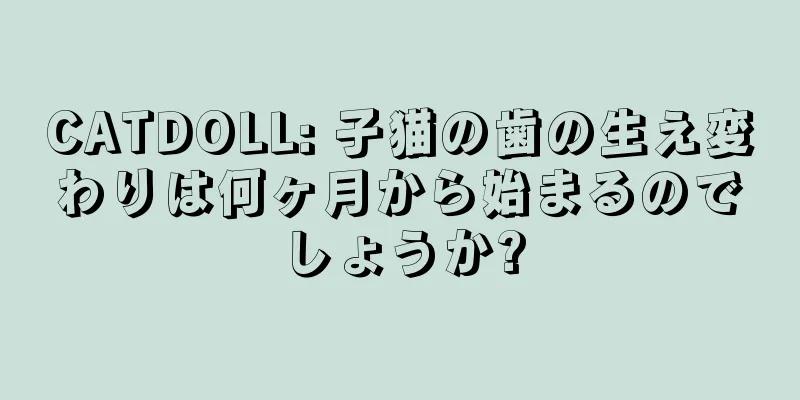 CATDOLL: 子猫の歯の生え変わりは何ヶ月から始まるのでしょうか?