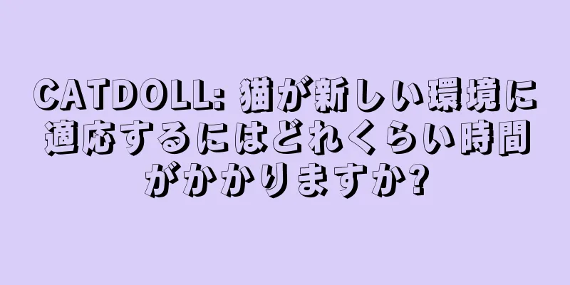 CATDOLL: 猫が新しい環境に適応するにはどれくらい時間がかかりますか?