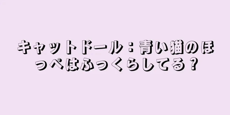 キャットドール：青い猫のほっぺはふっくらしてる？