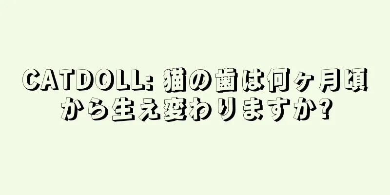 CATDOLL: 猫の歯は何ヶ月頃から生え変わりますか?