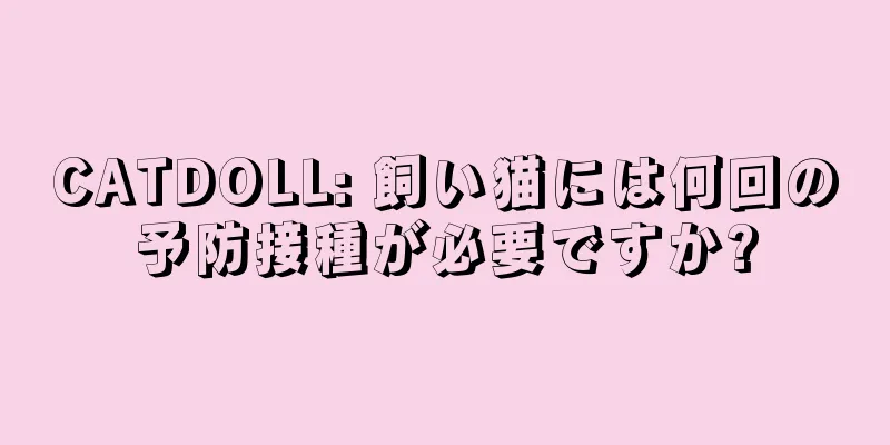 CATDOLL: 飼い猫には何回の予防接種が必要ですか?