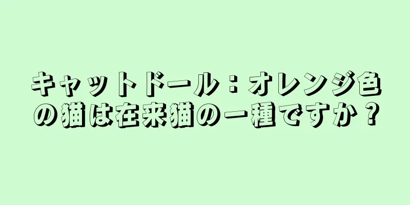 キャットドール：オレンジ色の猫は在来猫の一種ですか？