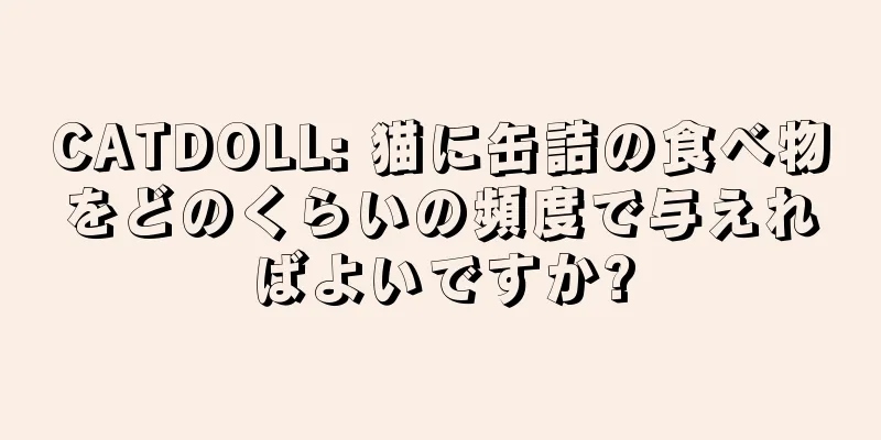 CATDOLL: 猫に缶詰の食べ物をどのくらいの頻度で与えればよいですか?