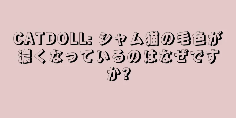 CATDOLL: シャム猫の毛色が濃くなっているのはなぜですか?