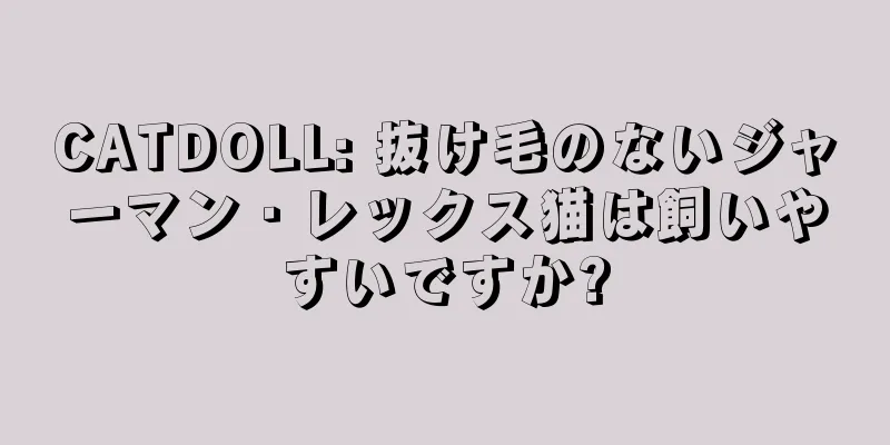 CATDOLL: 抜け毛のないジャーマン・レックス猫は飼いやすいですか?