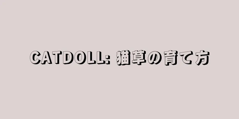 CATDOLL: 猫草の育て方