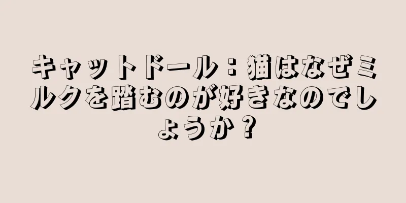 キャットドール：猫はなぜミルクを踏むのが好きなのでしょうか？