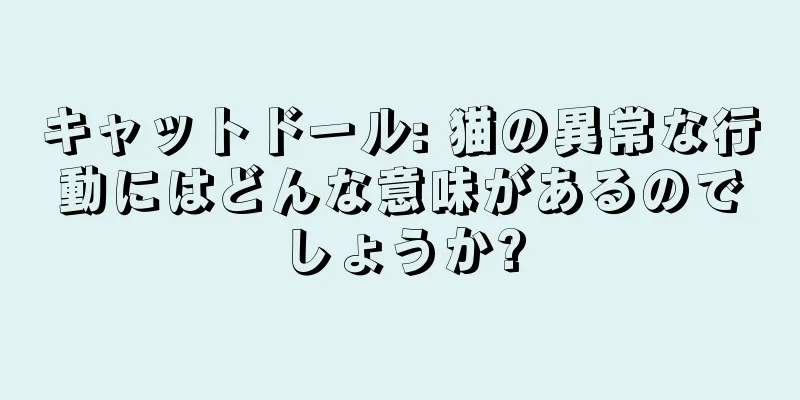 キャットドール: 猫の異常な行動にはどんな意味があるのでしょうか?