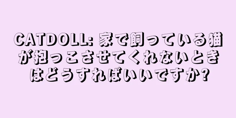 CATDOLL: 家で飼っている猫が抱っこさせてくれないときはどうすればいいですか?