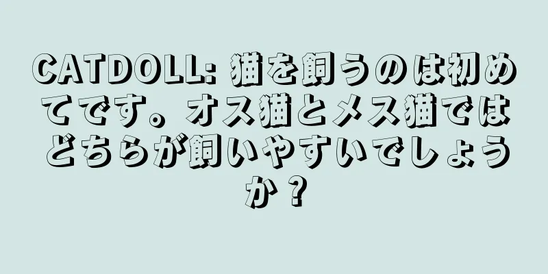 CATDOLL: 猫を飼うのは初めてです。オス猫とメス猫ではどちらが飼いやすいでしょうか？