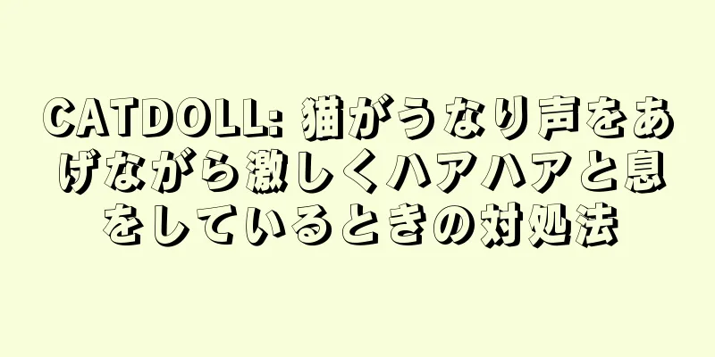 CATDOLL: 猫がうなり声をあげながら激しくハアハアと息をしているときの対処法