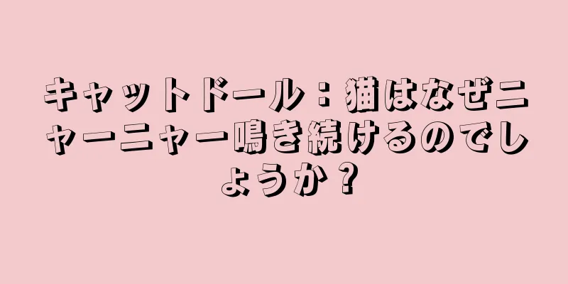 キャットドール：猫はなぜニャーニャー鳴き続けるのでしょうか？