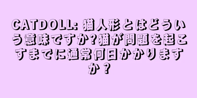 CATDOLL: 猫人形とはどういう意味ですか?猫が問題を起こすまでに通常何日かかりますか？