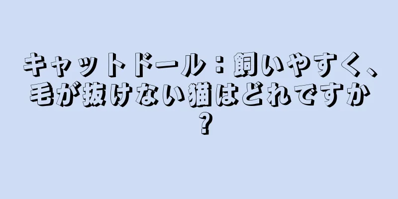 キャットドール：飼いやすく、毛が抜けない猫はどれですか？