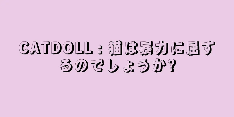 CATDOLL : 猫は暴力に屈するのでしょうか?