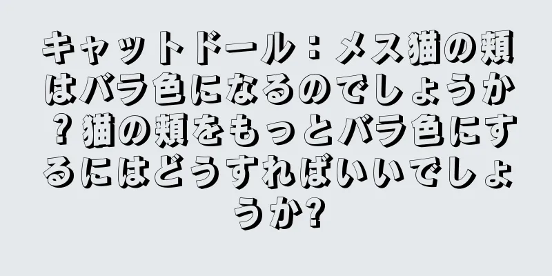 キャットドール：メス猫の頬はバラ色になるのでしょうか？猫の頬をもっとバラ色にするにはどうすればいいでしょうか?
