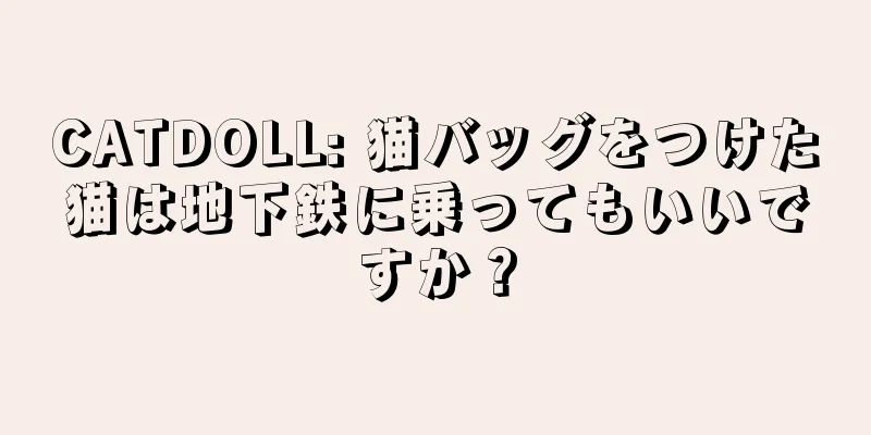 CATDOLL: 猫バッグをつけた猫は地下鉄に乗ってもいいですか？