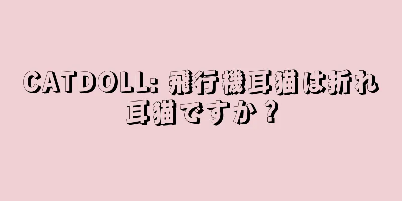CATDOLL: 飛行機耳猫は折れ耳猫ですか？