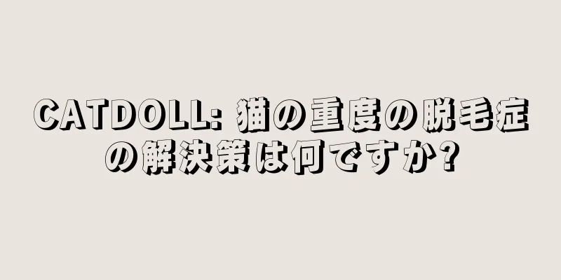 CATDOLL: 猫の重度の脱毛症の解決策は何ですか?