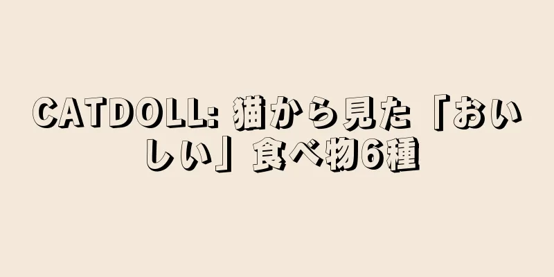 CATDOLL: 猫から見た「おいしい」食べ物6種