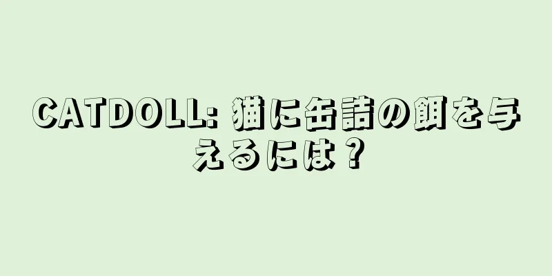 CATDOLL: 猫に缶詰の餌を与えるには？