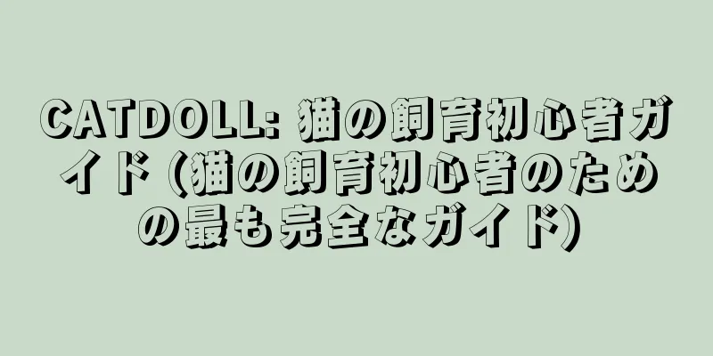 CATDOLL: 猫の飼育初心者ガイド (猫の飼育初心者のための最も完全なガイド)