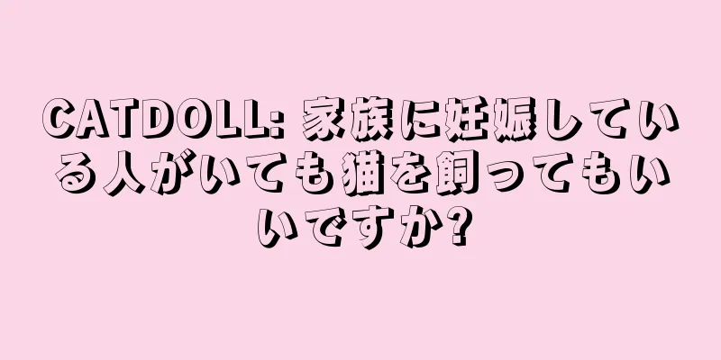 CATDOLL: 家族に妊娠している人がいても猫を飼ってもいいですか?